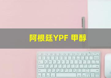 阿根廷YPF 甲醇